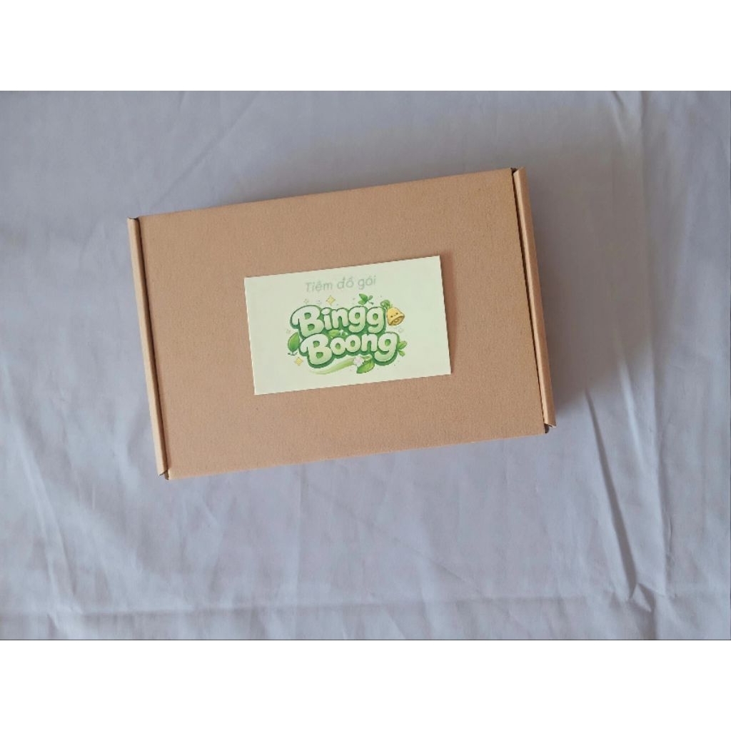 HỘP CARTOON NẮP GÀI 18x12x4