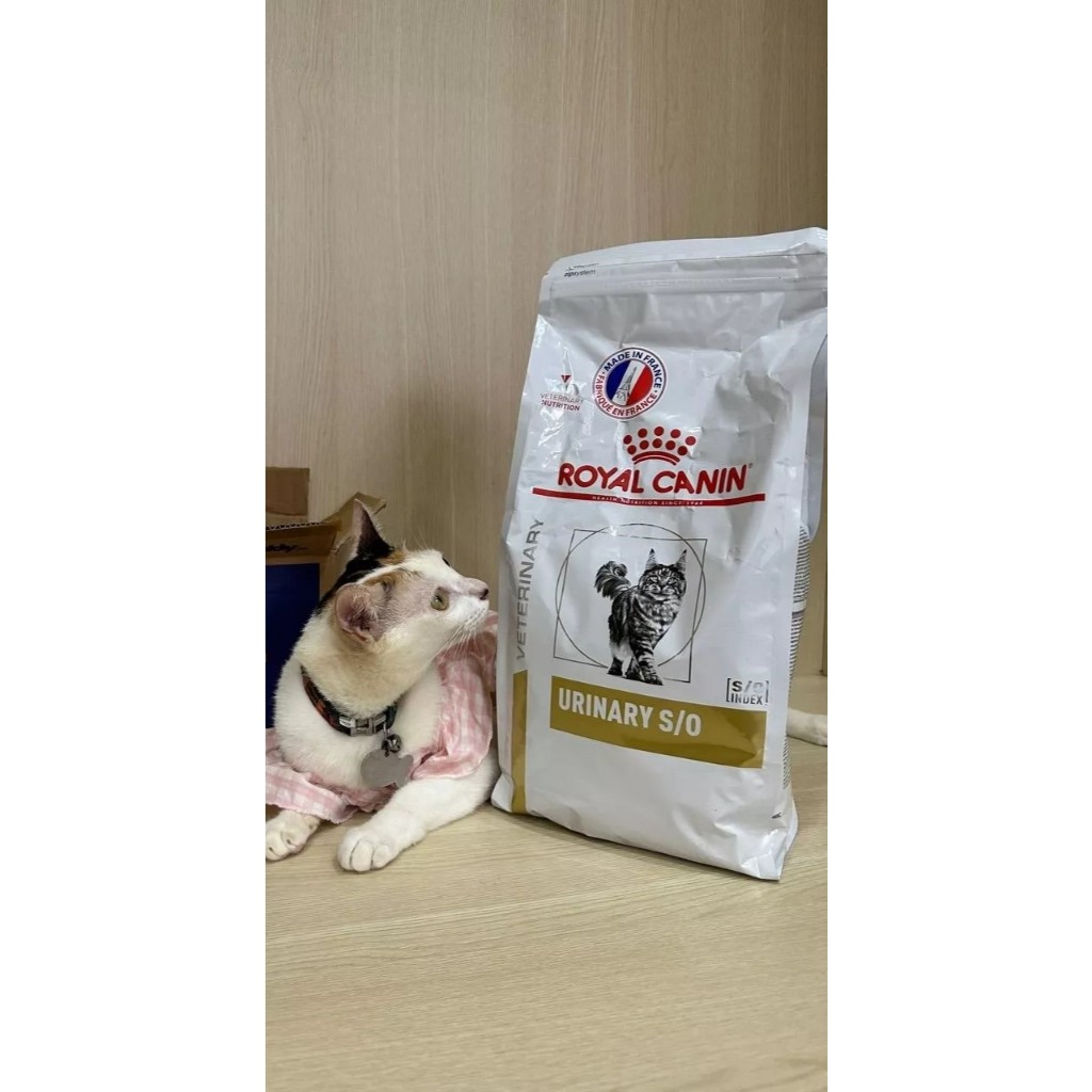 Thức Ăn Hạt Cho Mèo Royal Canin Urinary S/O Cho Mèo Sỏi Thận