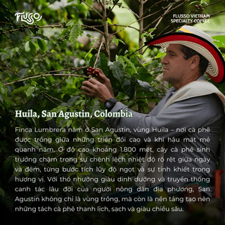 Cà Phê Specialty Colombia Sidra Finca Lumbrera Washed