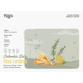 Cà Phê Specialty Colombia Sidra Finca Lumbrera Washed