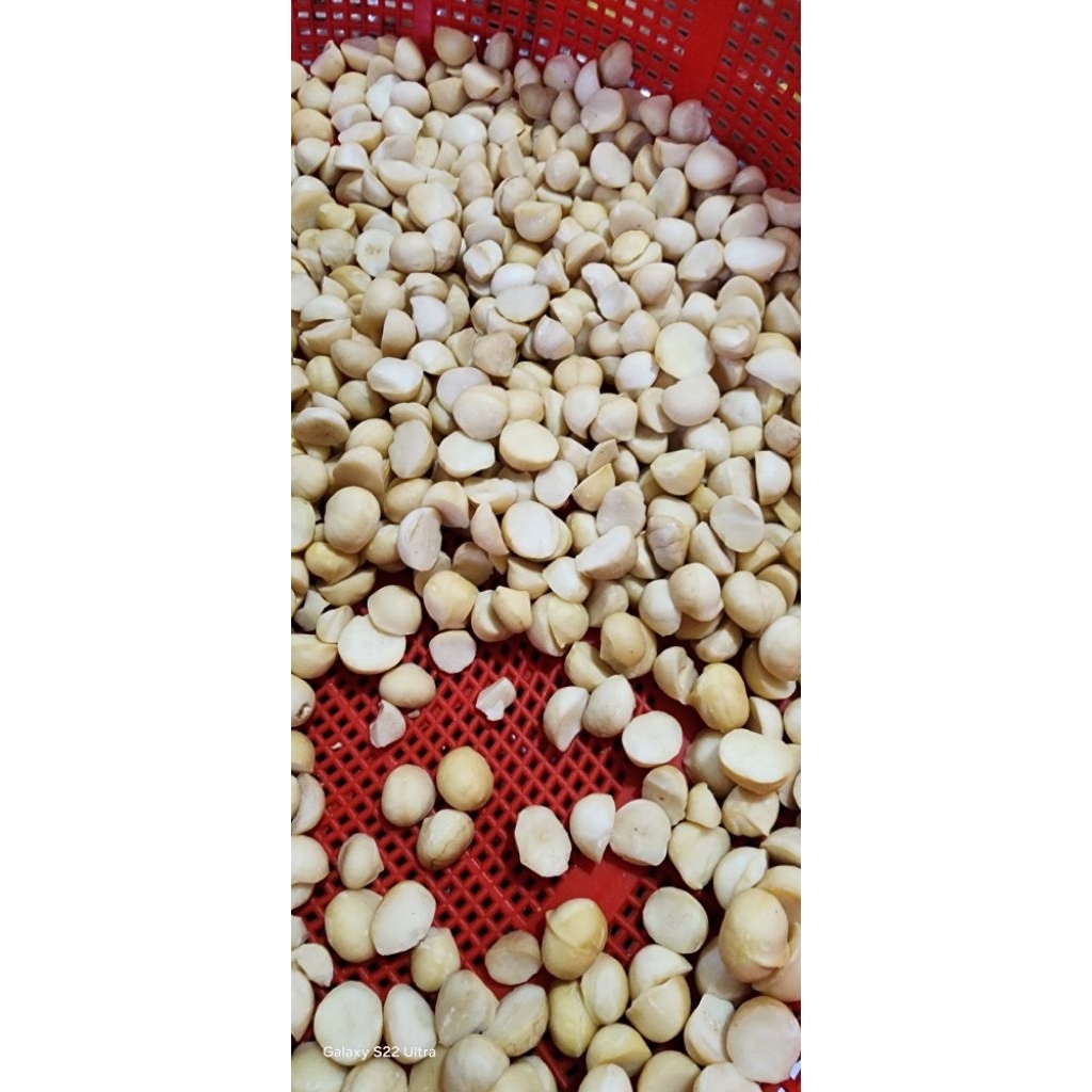 nhân macca  vỡ làm 4