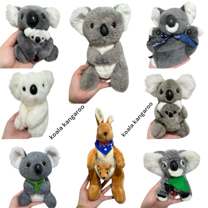 gấu bông koala kangaroo
