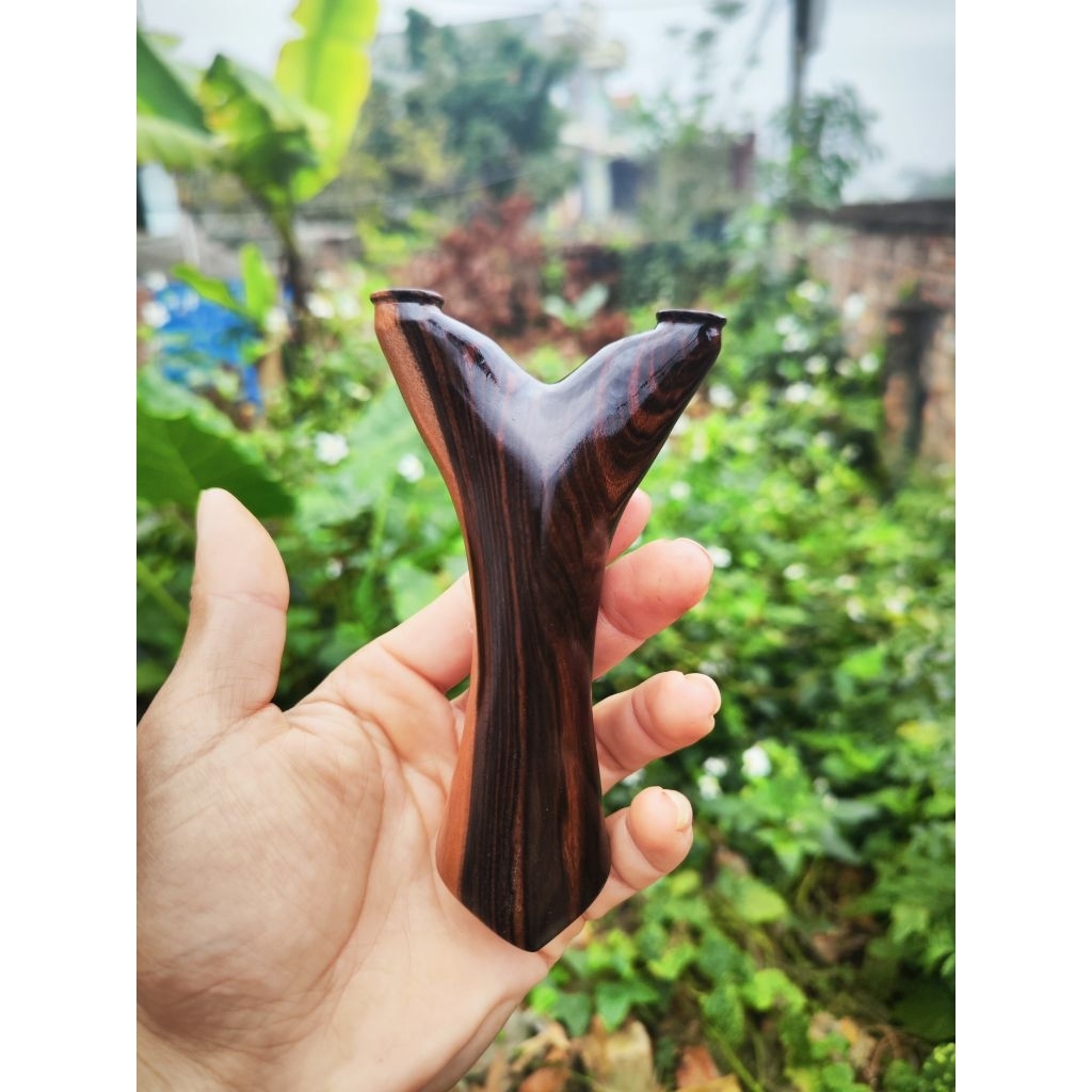 Ná gỗ mun vân đột biến