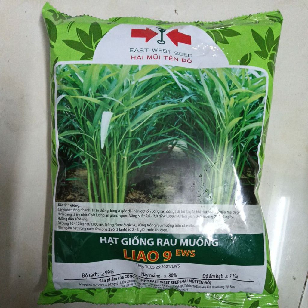 hạt giống rau muống lá tre-chia mũi tên đỏ thời vụ mb 1-8 âl(1000g)