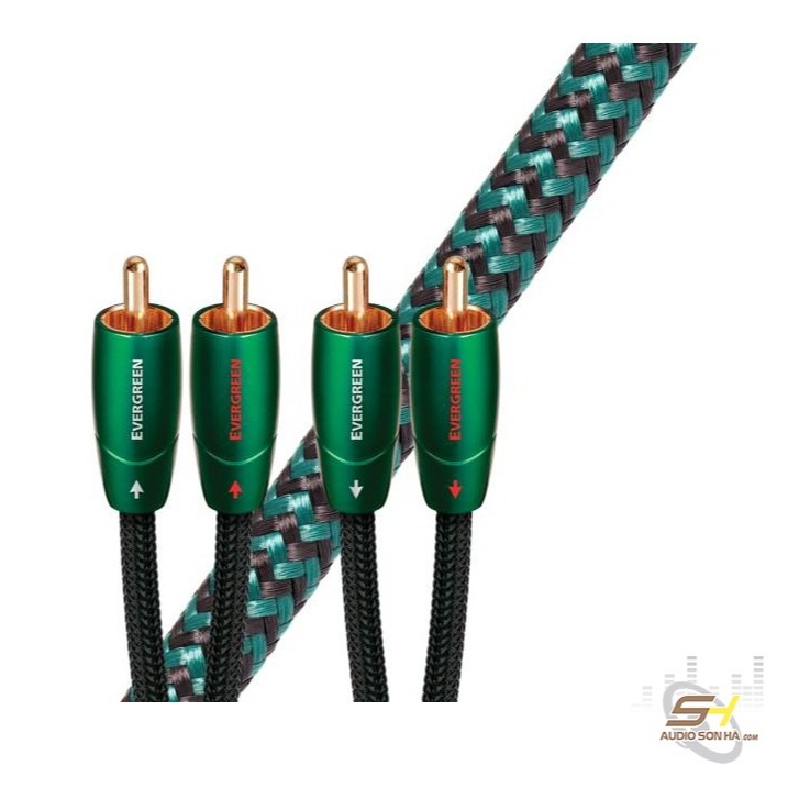 Dây RCA AudioQuest Evergreen 1.5M