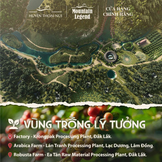 Cà Phê Chồn Cao Cấp Mountain Legend - 10% Real Civet Robusta & 90% Selected BeansFine Robusta - Hộp 200g - Tặng Phin