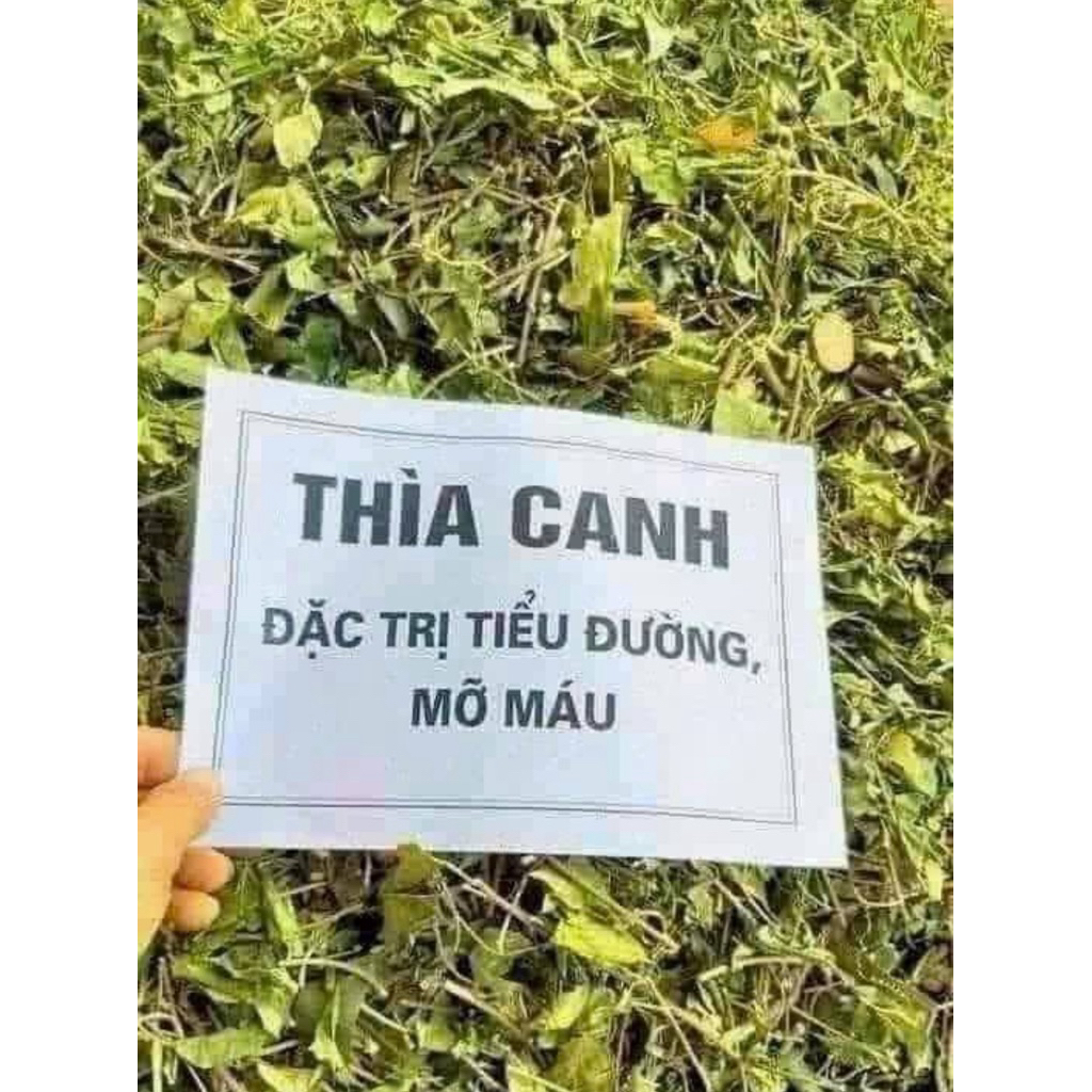 1KG Dây Thìa Canh  (SẠCH, XANH, THƠM PHỨC)