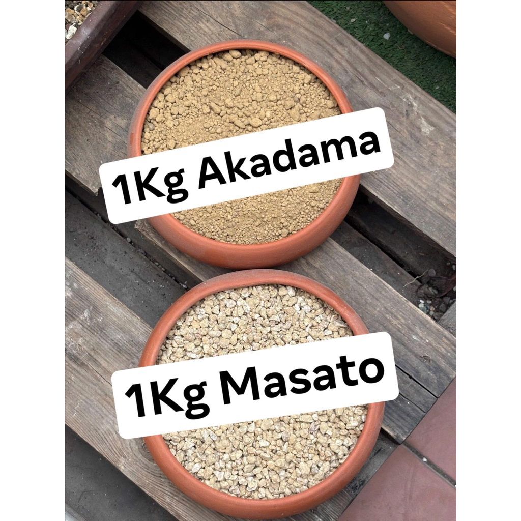 COMBO SỐ 6: 1KG ĐÁ MASATO + 1KG ĐÁ AKADAMA (Giá thể trồng sen đá, xương rồng)