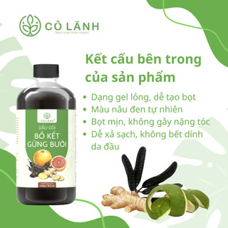Dầu Gội Bồ Kết Gừng Bưởi Cỏ Lành - Bảo Vệ Tóc Chắc Khỏe - Chăm Sóc Tóc Bồng Bềnh Óng Mượt