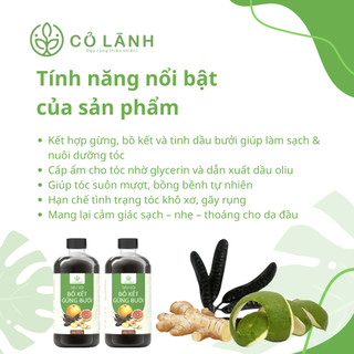 Dầu Gội Bồ Kết Gừng Bưởi Cỏ Lành - Bảo Vệ Tóc Chắc Khỏe - Chăm Sóc Tóc Bồng Bềnh Óng Mượt