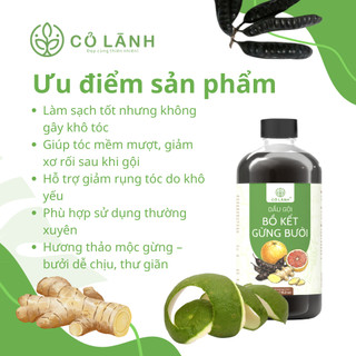 Dầu Gội Bồ Kết Gừng Bưởi Cỏ Lành - Bảo Vệ Tóc Chắc Khỏe - Chăm Sóc Tóc Bồng Bềnh Óng Mượt