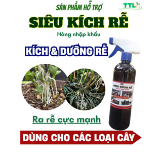 Kích rễ Biogreen dinh dưỡng phục hồi rễ, sang chậu, trồng mới cho cây chai 100ml