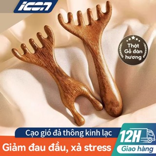ICON Đầu lược Massage kinh tuyến 2 trong 1 Dưỡng Da Đầu Thư Giãn Mắt Thông Kinh Lạc Tăng Tuần Hoàn Máu