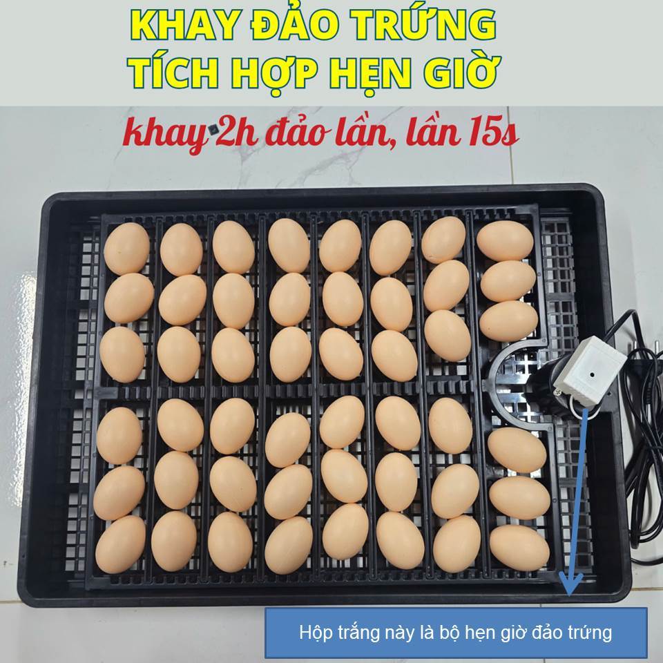 Khay đảo trứng kèm hẹn giờ, 2h đảo trứng 1 lần, lần đảo 15 giây