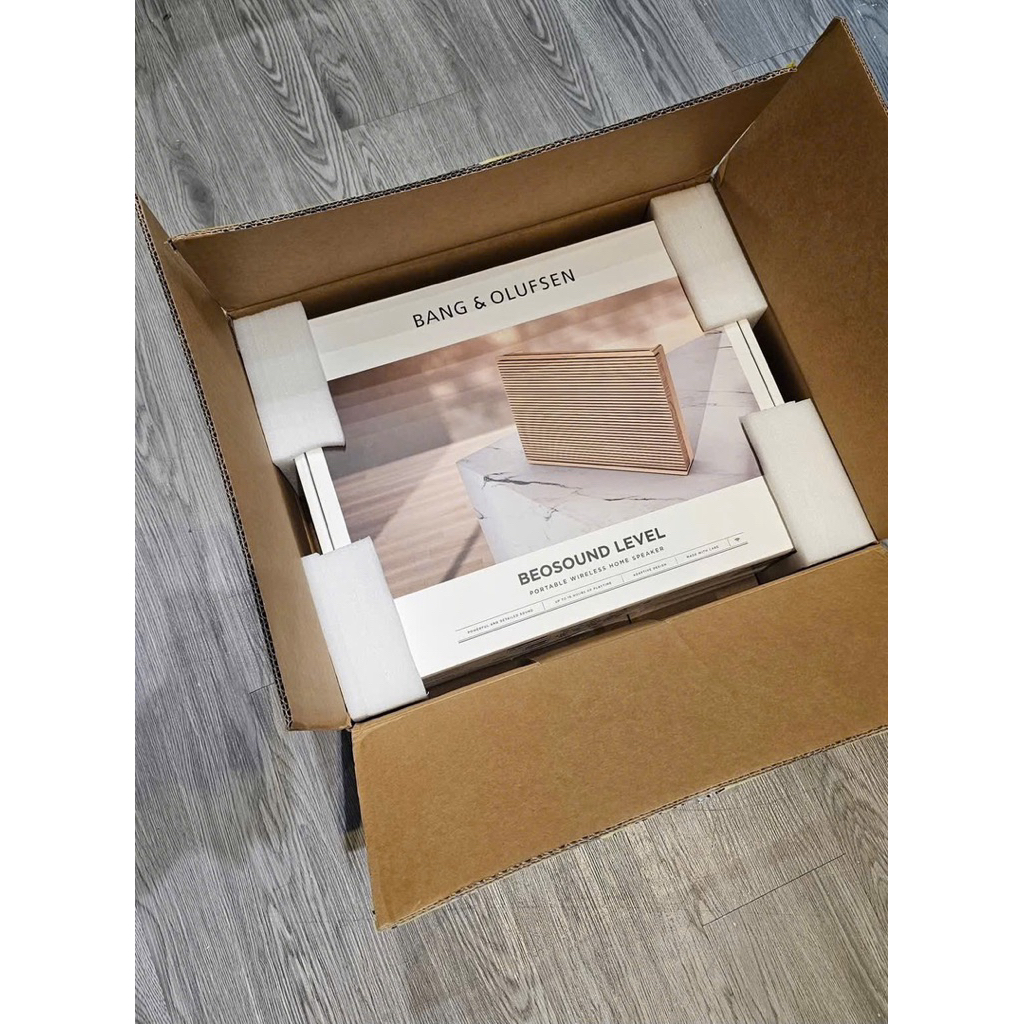 Loa Bang & Olufsen Beosound Level