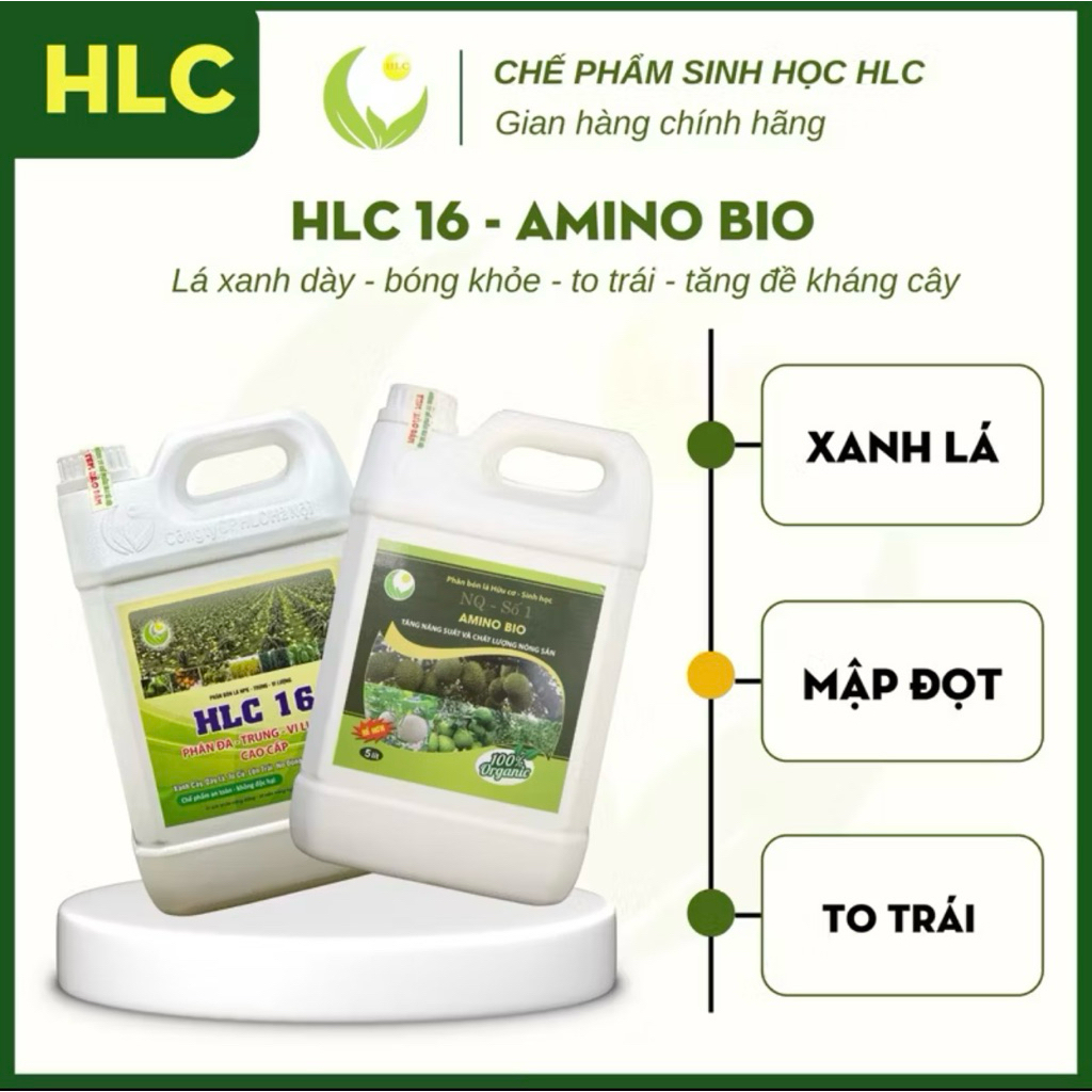 COMBO HLC 16 & AMINO CAN 5L  ĐI ĐỌT MẠNH, MẬP CƠI, BÓNG LÁ VÀ PHỤC HỒI CÂY