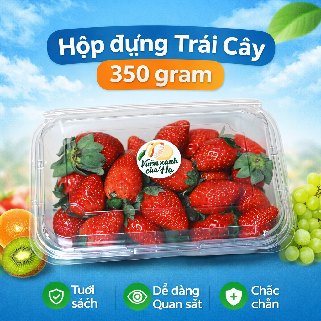 Combo 50–100 Hộp Nhựa P350A Đựng Trái Cây 350g – Hộp Nhựa Trong Suốt Đựng Dâu, Cherry, Vải, Nhãn