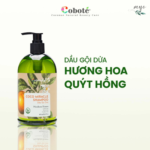 Dầu Gội Dừa Cobote 100ml/ 480ml