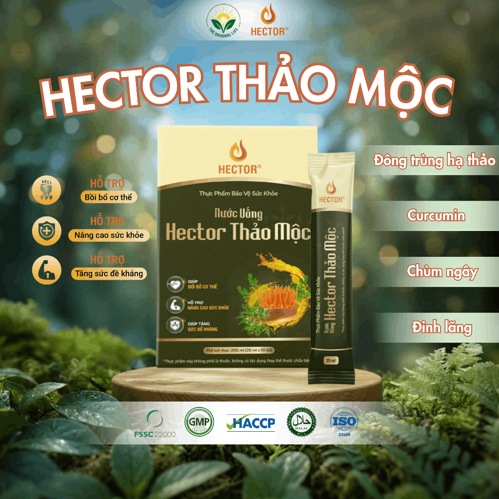 Nước uống Hector Thảo mộc (10 túi x 25ml)