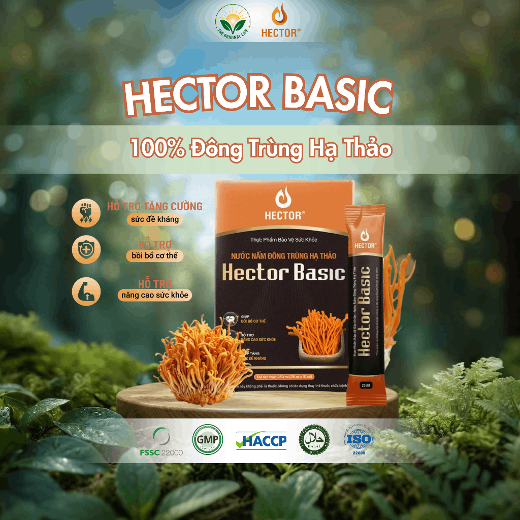 Nước nấm đông trùng hạ thảo Hector Basic (10 túi x 25ml) hỗ trợ tăng sức đề kháng, bồi bổ cơ thể