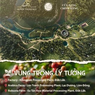 Cà Phê Chồn Cao Cấp Legend Revived - 100% Authentic Civet Coffee Robusta -  Lên men tự nhiên kỳ diệu - Hộp 51g