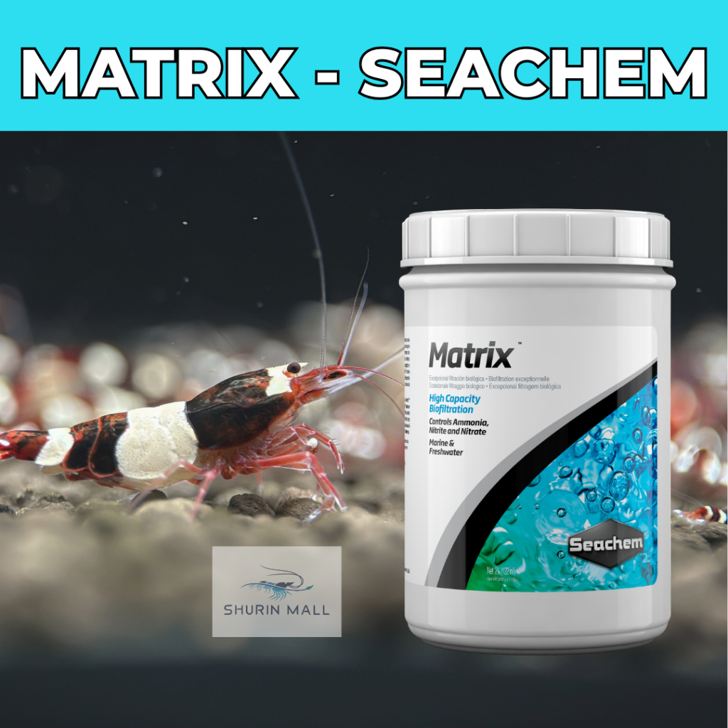 ĐÁ MATRIX SEACHEM (1L) | VẬT LIỆU LỌC CAO CẤP CHÍNH HÃNG SEACHEM