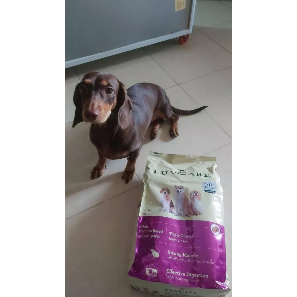 Hạt Cho Chó Giống Vừa LuvCare Medium Dưỡng Lông Da