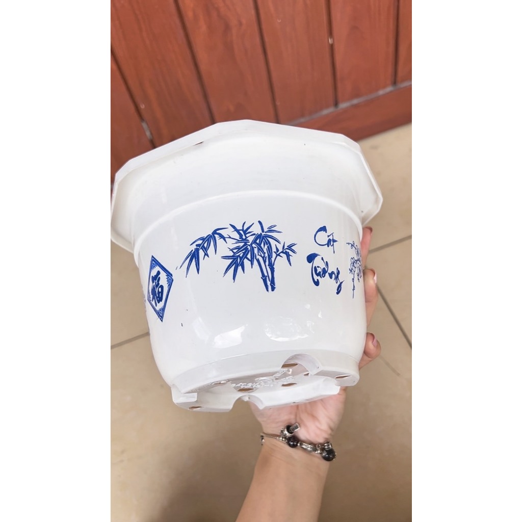 (COMBO CHẬU TẾT) Chậu treo 21x15 và chậu bèo 22x15 Như Ý Cát Tường