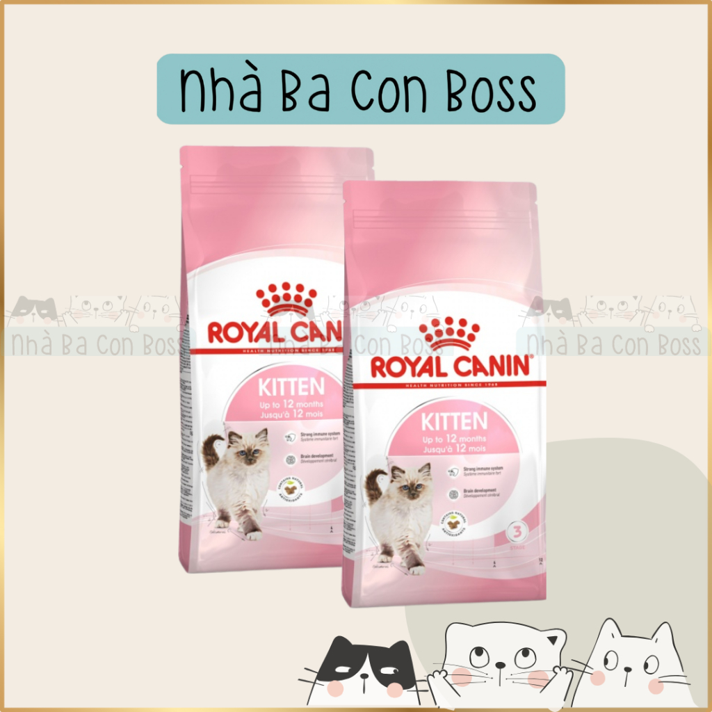 [400g] Hạt Cho Mèo Con (Kitten) Royal Canin Kitten