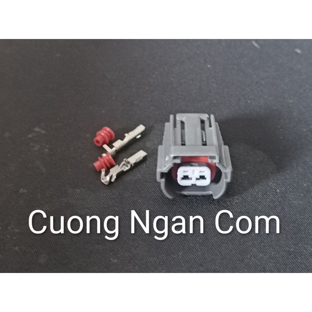 Giắc cắm 2 dây (Connector 2 pin) 6195-0043 / DJ7022B-2.2-21