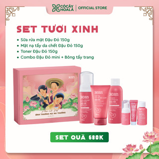 Set quà Tươi Xinh Cỏ Cây Hoa Lá "Phụ nữ Việt - Bình thường mà phi thường"