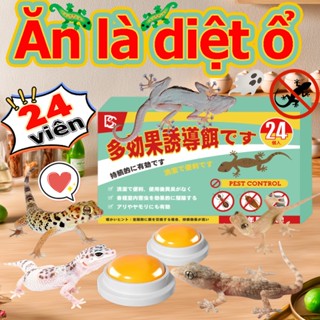 🦎Trăm năm không có thạch sùng! | AT Bã Diệt Hết Bã Thạch Sùng Bã Diệt Tắc Kè | 24 viên/hộp