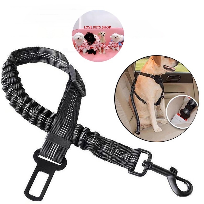 Dây cố định chó mèo trên xe hơi - Love Pets Shop