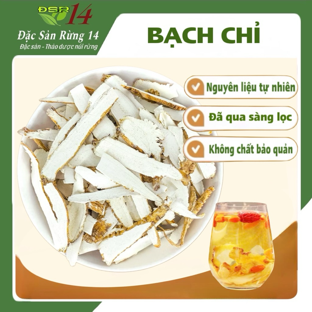Bạch chỉ 100g, củ bạch chỉ khô thái phiến mỏng, thơm, sạch, không tẩy trắng - Đặc Sản Rừng 14
