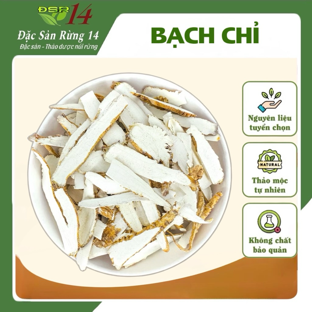 Bạch chỉ 1kg, củ bạch chỉ khô thái phiến mỏng, thơm, sạch, không tẩy trắng - Đặc Sản Rừng 14