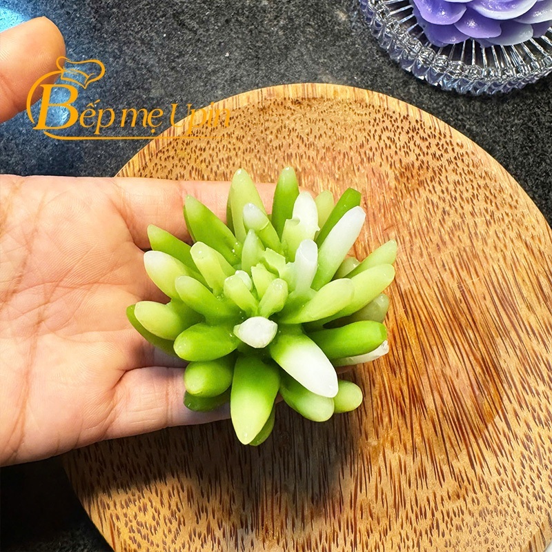 Khuôn Silicon Xương Rồng mã SR316