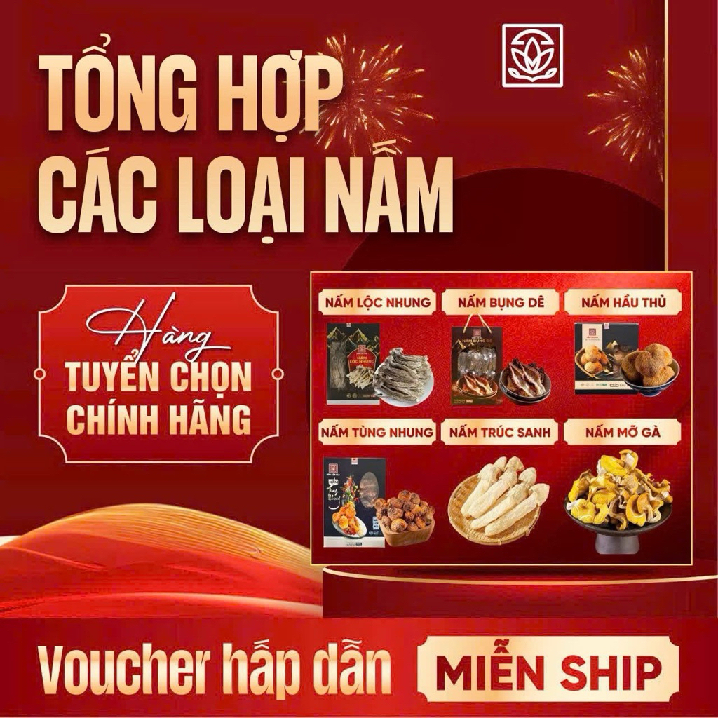 TỔNG HỢP CÁC LOẠI NẤM BỔ DƯỠNG