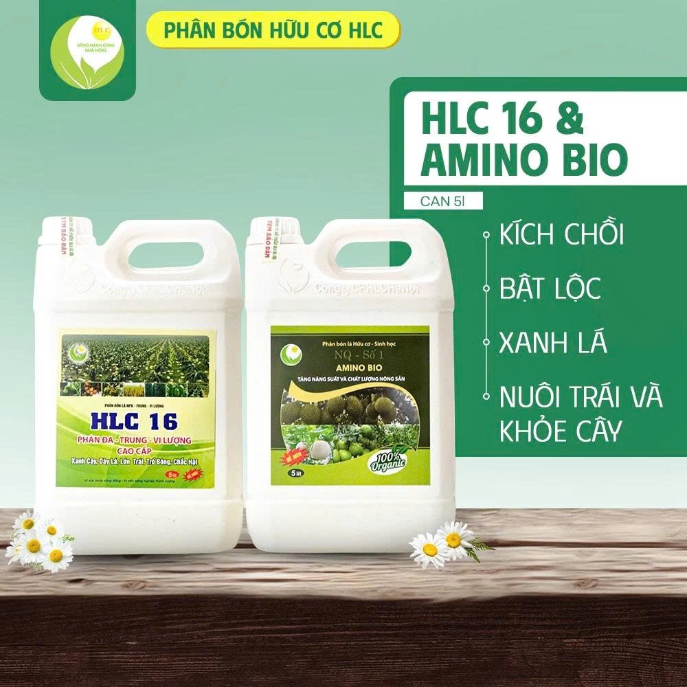 Bộ đôi Can 5L PHÂN BÓN HLC 16 và AMINO bật chồi vọt đọt mập cơi xanh dày lá