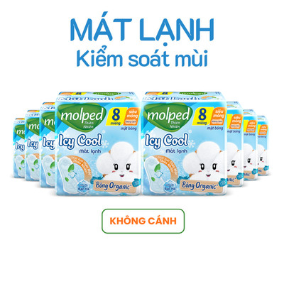 [Chọn QUÀ trong giỏ] Combo 8 gói Băng vệ sinh Molped Icy Cool thiên nhiên Mát lạnh không cánh (GÓI 8 miếng)