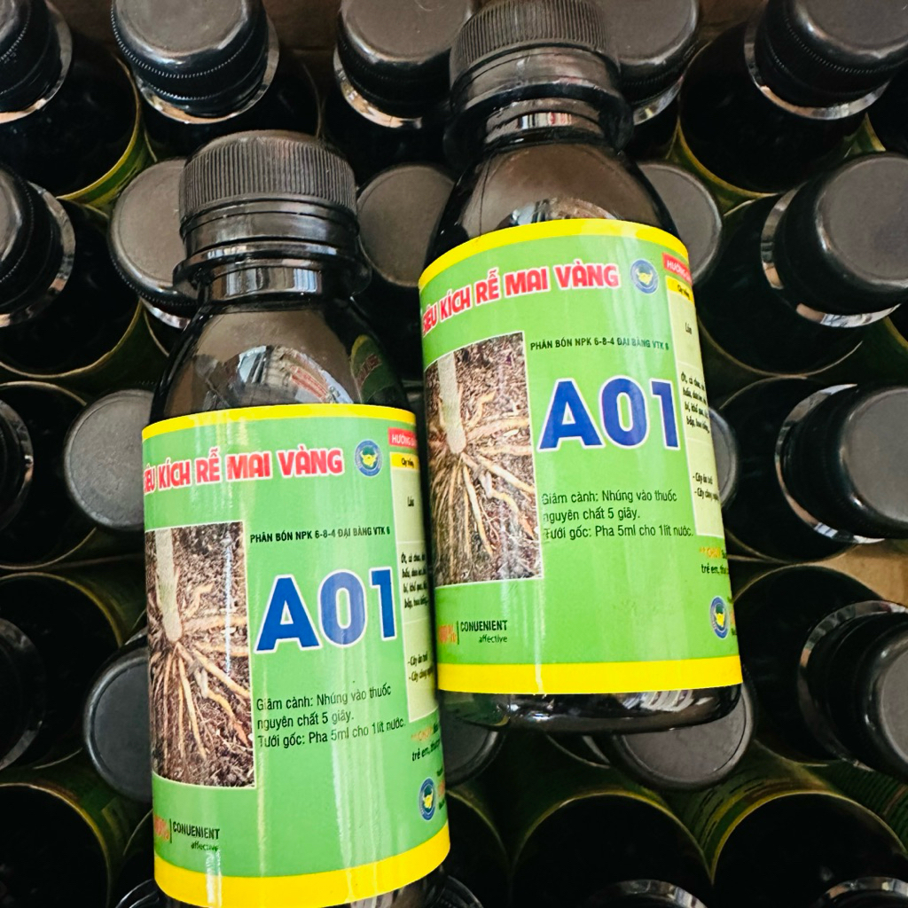 Combo 2 chai A01 Kích Rễ Mai Vàng - Hoa Kiểng