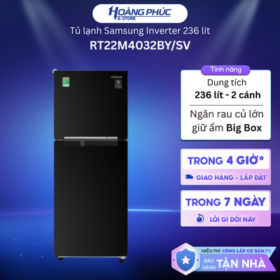 Tủ Lạnh Samsung Inverter 236 Lít RT22M4032BY/SV {Ship HCM 0Đ}