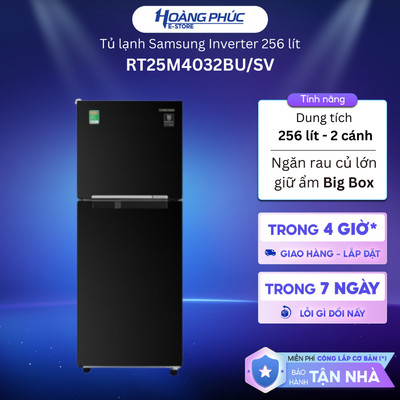 Tủ Lạnh Samsung Inverter 256 Lít RT25M4032BU/SV {Ship HCM 0Đ}