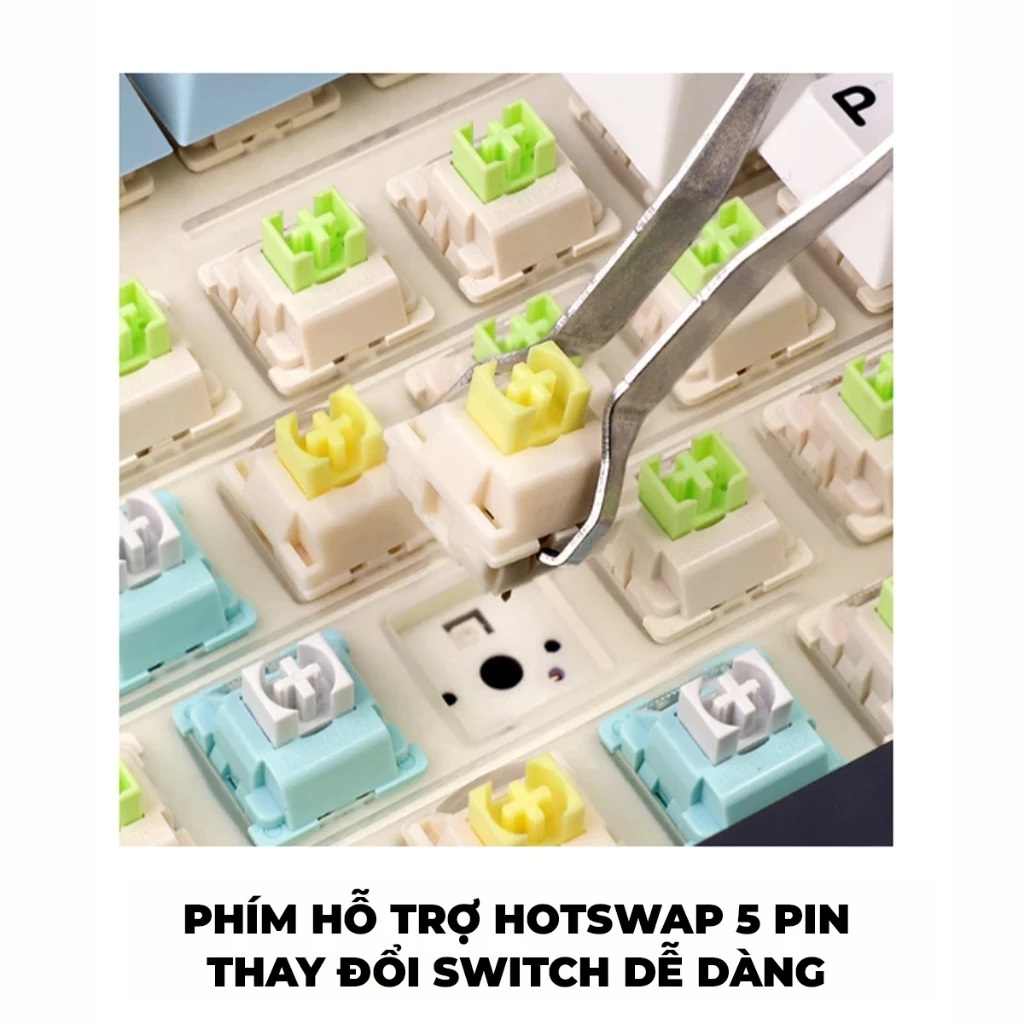 Bàn phím cơ Gaming có Dây chính hãng AULA F75 (4883) - Màu Xanh Dương+Trắng+Tím đậm/ Pink Switch - Bảo Hành 24 Th | BigBuy360 - bigbuy360.vn