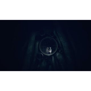 Đĩa Game REANIMAL PS5