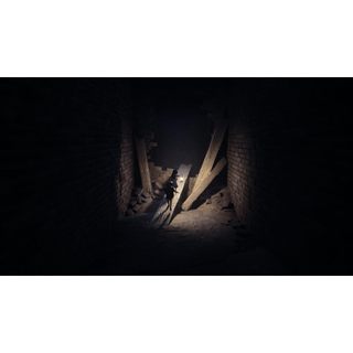 Đĩa Game REANIMAL PS5