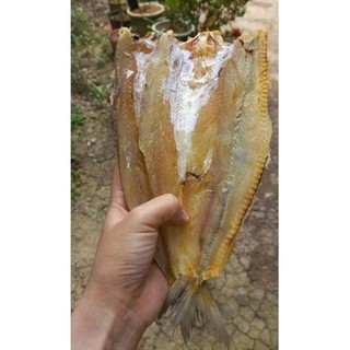 500gram CÁ MỐI KHÔ loại NGON vị mặn