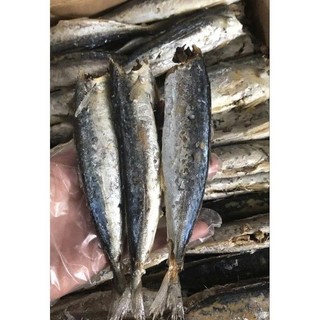 500gram CÁ NỤC HẤP (cá to) vị vừa ăn