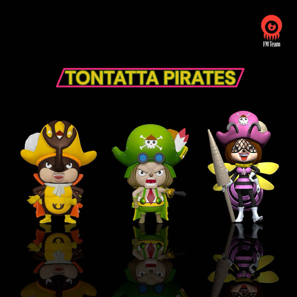 Tontatta Pirates - WCF - FM Team
