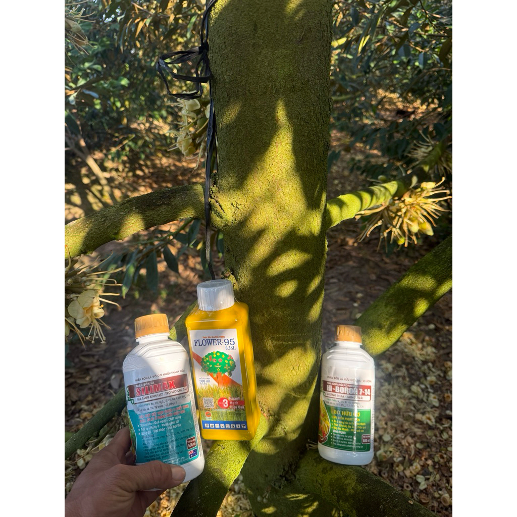 bộ 3 đâu trái xanh gai ( Silimax +500ml f95 + hi boron 7-14)