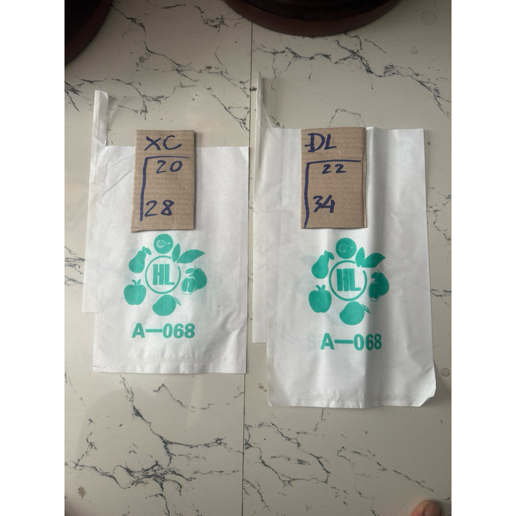 100 túi bao xoài cát và xoài đài loan (có tay )